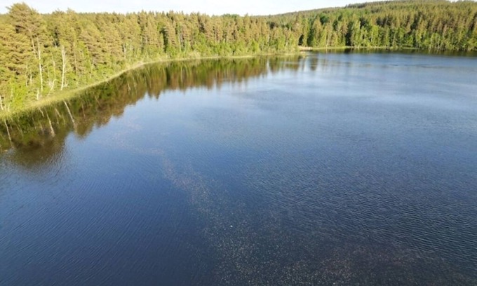 Vimmerby Municipality House | Blåbär hus Vimmerby - Nature, sauna & lake: Your retreat in the heart of Småland