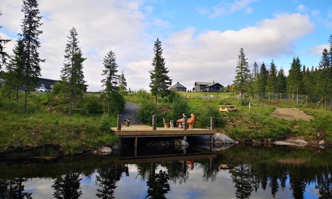 Vefsn Hotel | Pet-Friendly Blåfjell Hundesenter Fjellhotell - Rated 8.6/10