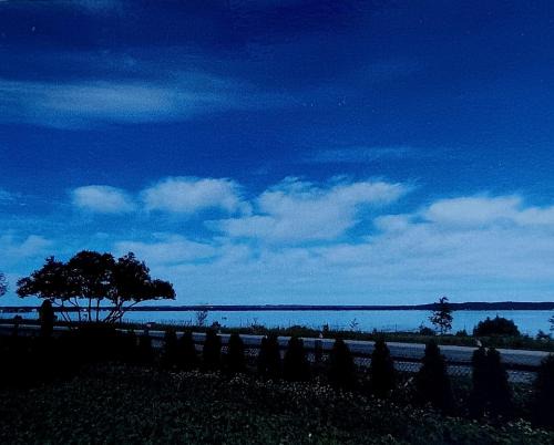 Holiday Hills Apartment | Blū House