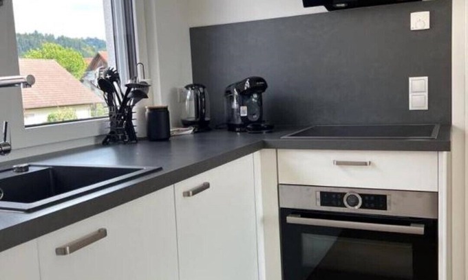 Gengenbach Apartment | Cozy Black Forest Apartments: Family-Friendly 2-Bedroom Stay