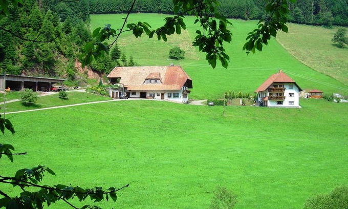 Hofstetten Apartment | Cozy Black Forest Farmhouse with Fireplace & Family-Friendly Vibe