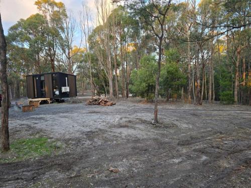 Macedon House | Black Forest Hide Away by Tiny Away