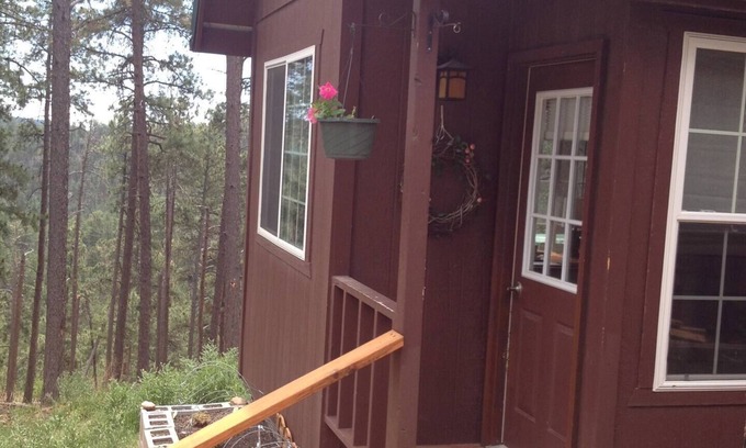 Rapid City Cottage | Mountain Top Cabin in Black Hills with Pool and Spa Access