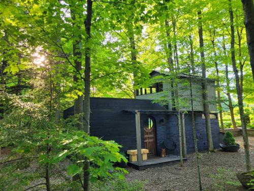 Milton House | Discover the Unique Black Pine Tree House Experience
