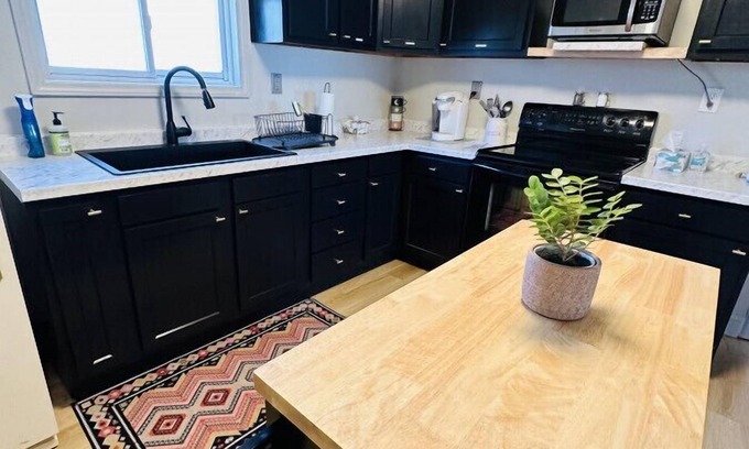 Lansing Cottage | Guest Rated 10/10: Black Ridgetop Near NRG National Park