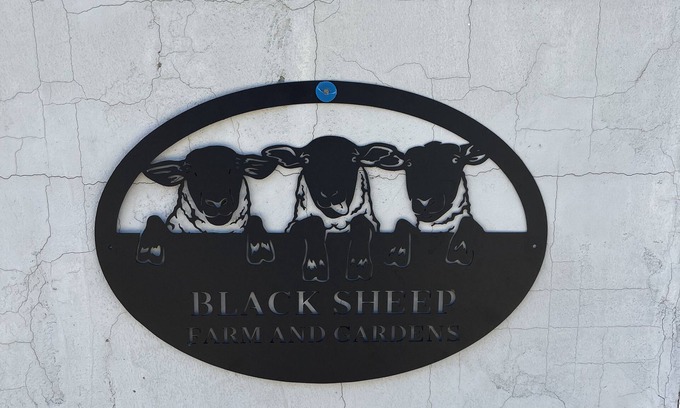 Boswell Apartment | Discover Black Sheep Farm and Gardens: Family-Friendly Retreat