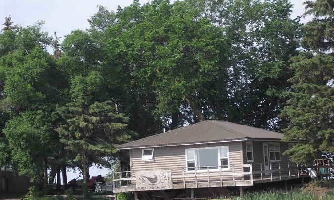 Lake of the Woods County Cabin | Escape to Blackbird Island: Pet-Friendly Private Retreat