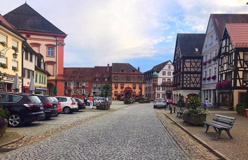 Gengenbach Apartment | Family-Friendly Blackforest Home Gengenbach near Europapark