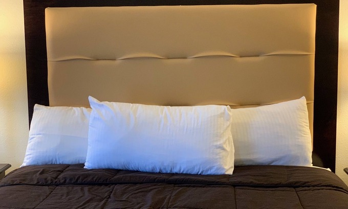 Harold Hotel | Discover Comfort at Blackwater Inn with Spa & Dining