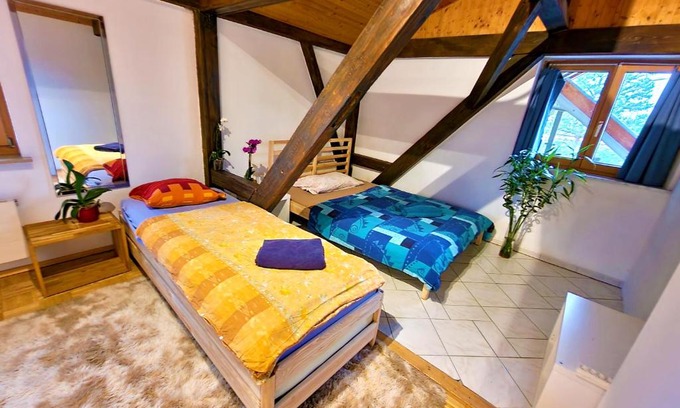 Munchenstein House | Bright Blau Room in Prime Apartment - 10/10 Guest Rated