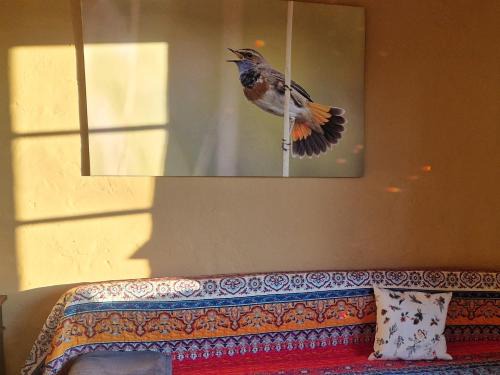 Gross Nemerow Apartment | Family-Friendly BlaukehlchenBleibe with Top Guest Rating 9/10