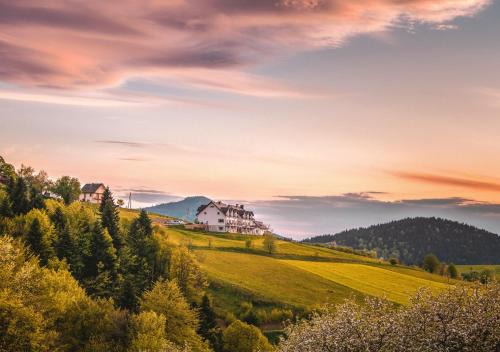 gmina Dobra Bed & Breakfast | Experience Bliżej Nieba: Oceanfront Bliss & Spa Retreat