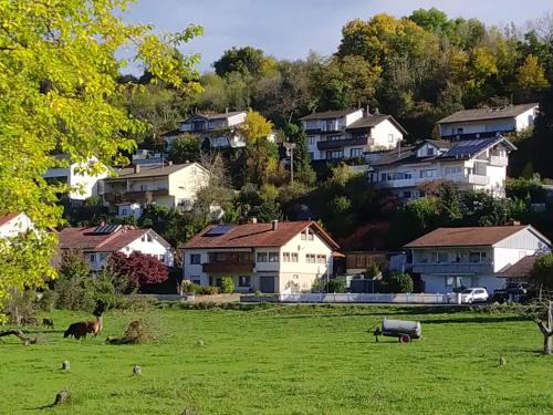 Wutoeschingen Apartment | Discover Blick ins Wutachtal: Family-Friendly Retreat
