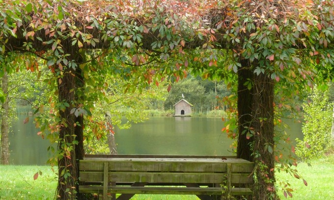 Ludwigswinkel Hotel | Charming Blick zum Maimont: Ideal for Families & Dining
