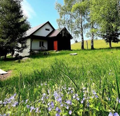 Paltinis House | Blidarei - A Family-Friendly Retreat in Transylvania