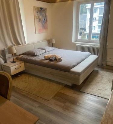 Binningen Apartment | BLISS Basel Residence