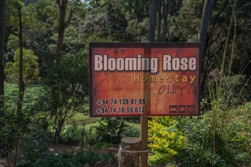 Ohiya House | Blooming Rose Homestay