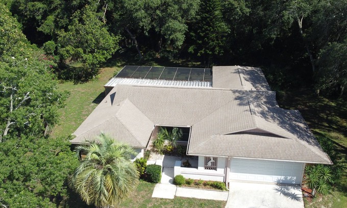 Palm Harbor House | Blue Dolphin Privacy Paradise: Beachfront Retreat with Pool