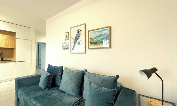 Brasov Apartment | Blue Jay's Nest — AC and Stylish Terrace