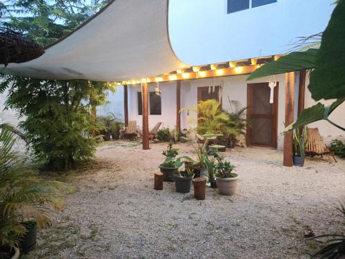 Majahual Apartment | Oceanfront Bliss at Blue Mahahual - Rated 9.8 by Guests
