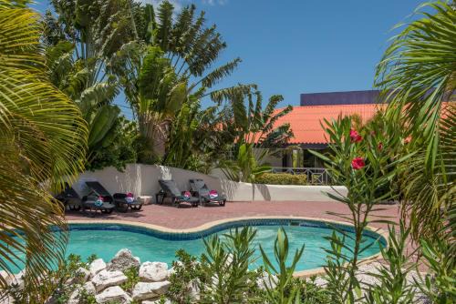 Willemstad Resort | Beachfront Blue Marlin Apartments with Pool & Ocean Views