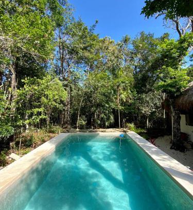 Chemuyil Cabin | Pet-Friendly Blue Monkey Chemuyil with Pool & Breakfast