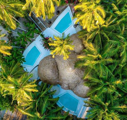 Jambiani Hotel | Escape to Blue Moon Resort: Oceanfront Paradise Awaits
