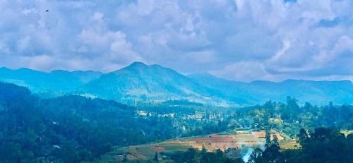 Haputale Cabin | Blue mountain view resort