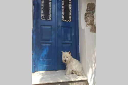Galini House | Experience Blue & White: A Dream House by the Aegean
