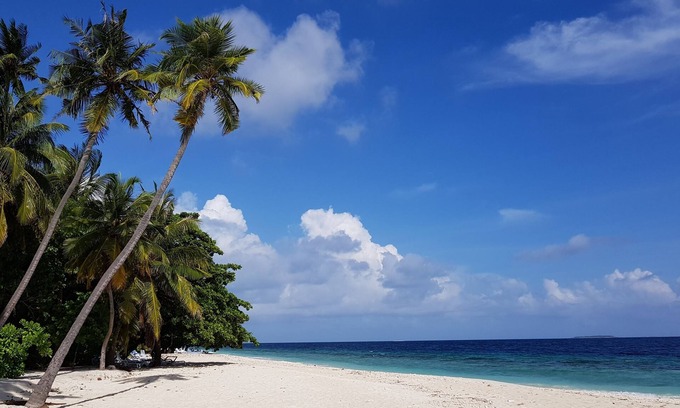 Dharavandhoo House | Discover Blue World Dharavandhoo: A Tranquil Retreat