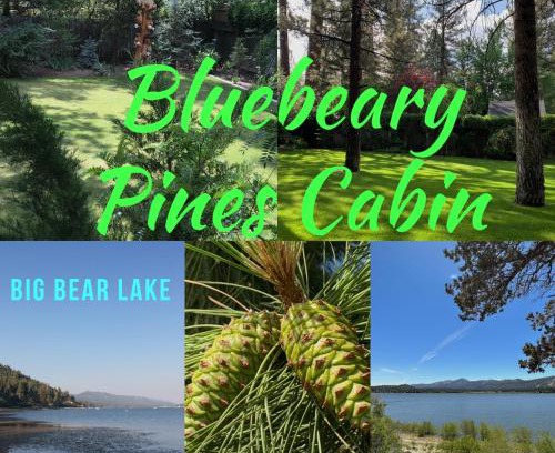 Winter Park House | BLUEBEARY PINES: Private Hot Tub & Steps to Ski Shuttles