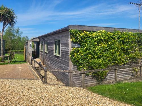 Holsworthy House | Discover Bluebell Lodge: Pet-Friendly 4-Star Retreat