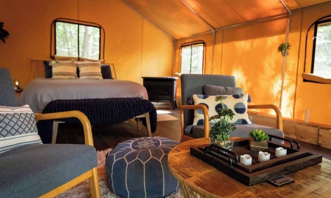 Primrose RV Rental | Explore The Bluejay's Nest: Glamping in the Canopy