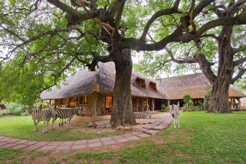Hoedspruit House | Relax at Blyde River Canyon Lodge with Pool & Spa Amenities