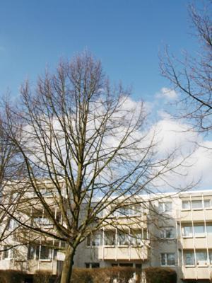 Celle Apartment | Explore the Comfort of Boarding House "Herzogpark Celle"