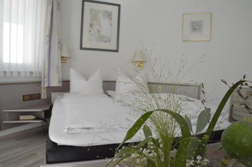 Coburg House | Discover Boardinghaus zu Coburg: Family & Pet Friendly Stay
