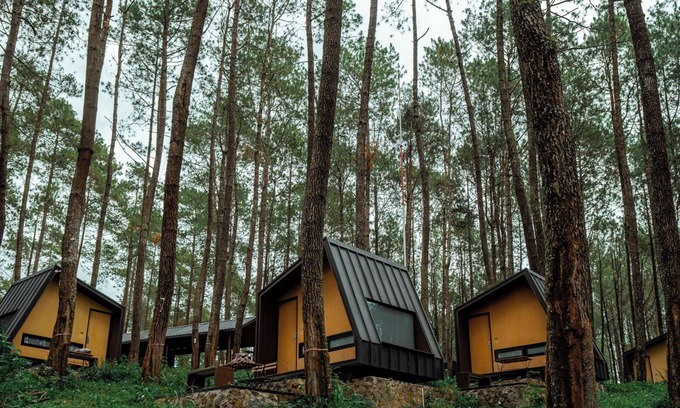Cikole Hotel | Cozy Retreat at Bobocabin Cikole with Family-Friendly Perks