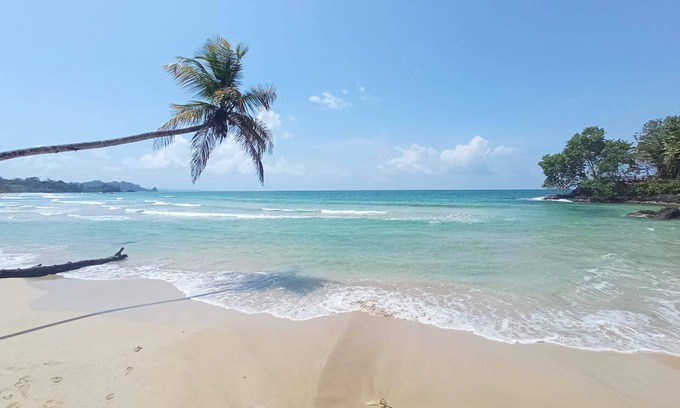 Big Creek Bed & Breakfast | Discover Bocas del Toro: Top-Rated B&B with Spa & Kitchen