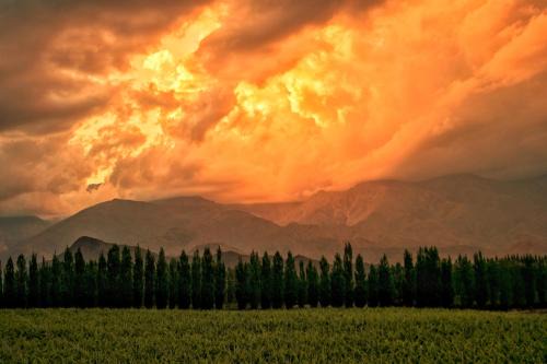 Vista Flores Cabin | Experience Bodega Alpasión Lodge and Glamping Retreat