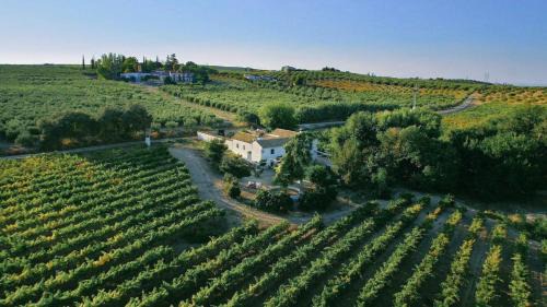 Montilla House | Inviting Casa Rural Finca Buytrón: Oceanfront Bliss Awaits