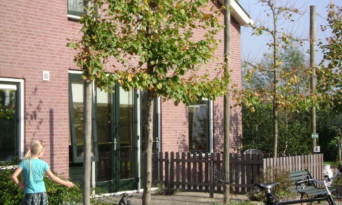 Kockengen Bed & Breakfast | Top-Rated Boerderij Hazenveld with Family-Friendly Amenities