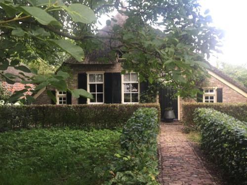 Ruitenveen House | Idyllic Boerderij met Atelier: 9.5/10 Guest Rated Retreat