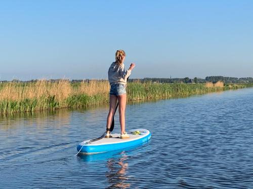 Wormer Other | Family-Friendly Boerencamping Swarthoeve: Pets Welcome!