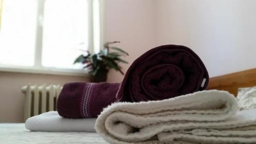 Vitosha District Resort | Discover Boeritza Hotel Complex: Pet-Friendly with Kitchen!