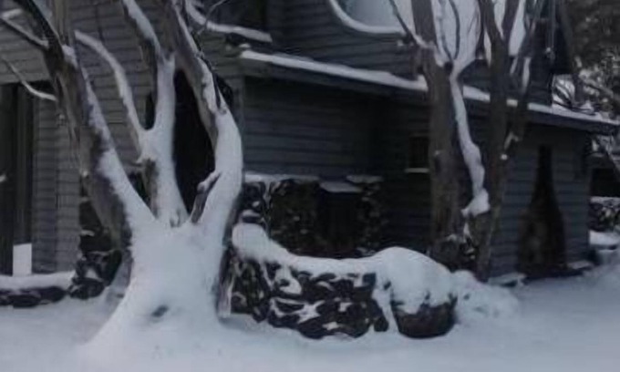 Dinner Plain Ski Chalet | Romantic Chalet 'Bogong' with Kitchen & 10/10 Guest Rating