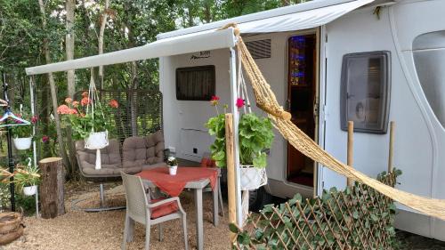 Pecineaga Other | Cozy Boho Marine with Oceanfront Views and Pet-Friendly Stays