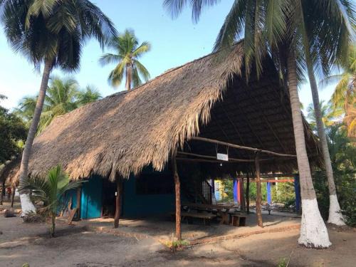 Tonala House | Bokanito Nojoch