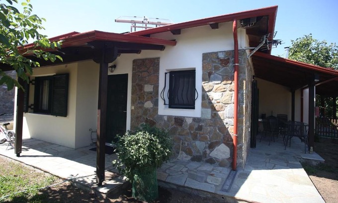 Terpsithea House | Discover Boletus MushROOM: Pet-Friendly Retreat Awaits!