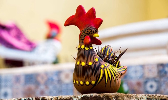 Zona Centro House | Cozy Finca in San Cristobal's Historic Center with Breakfast