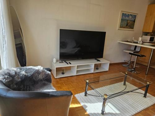 Lausanne Apartment | Charming Vacation Apartment for Families with Kids